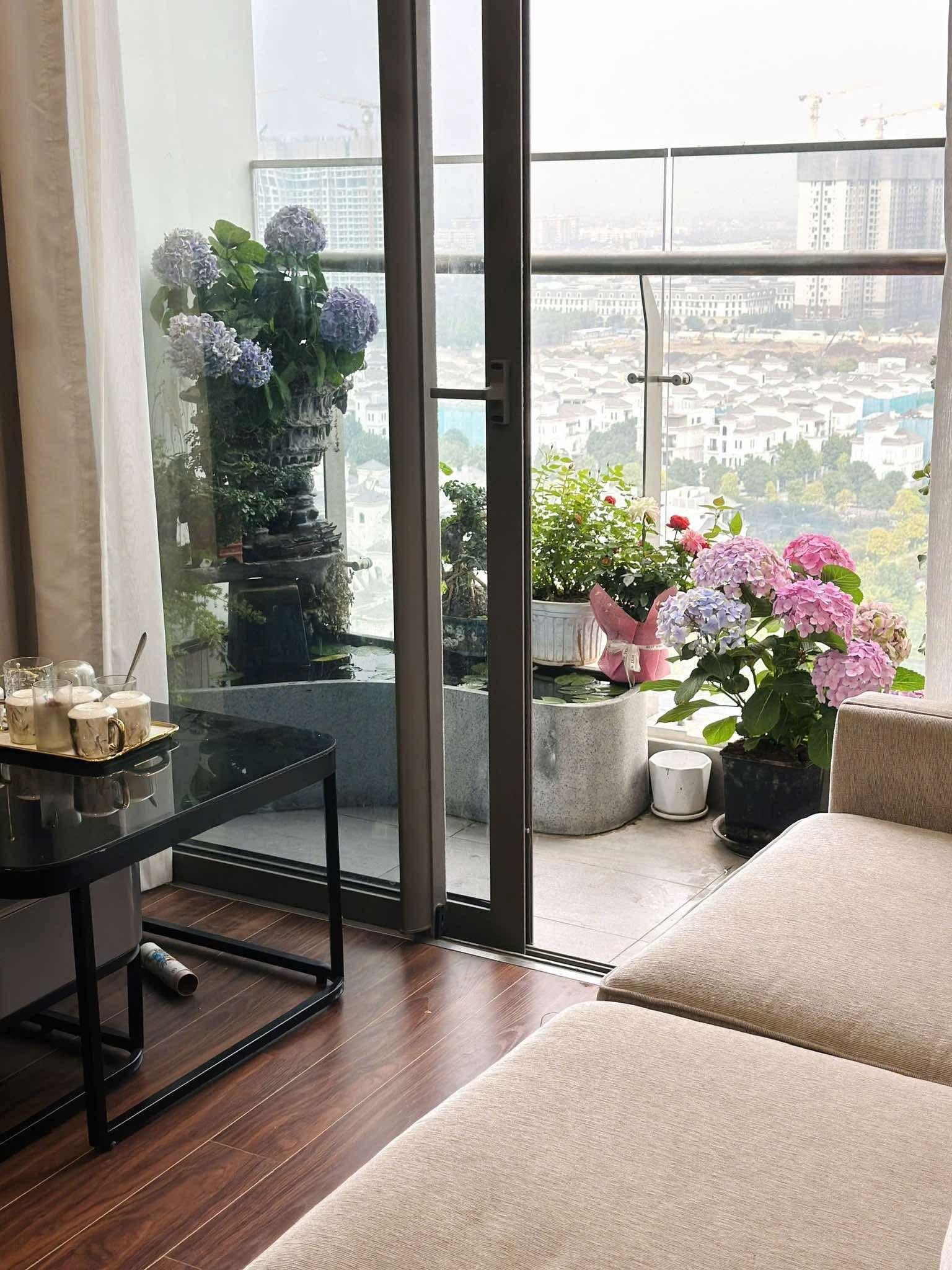 gallery image background