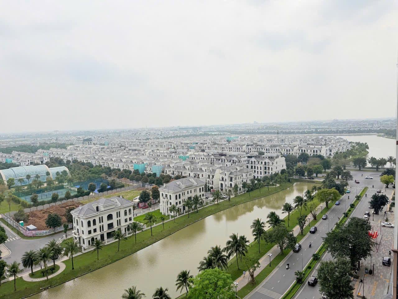 gallery image background