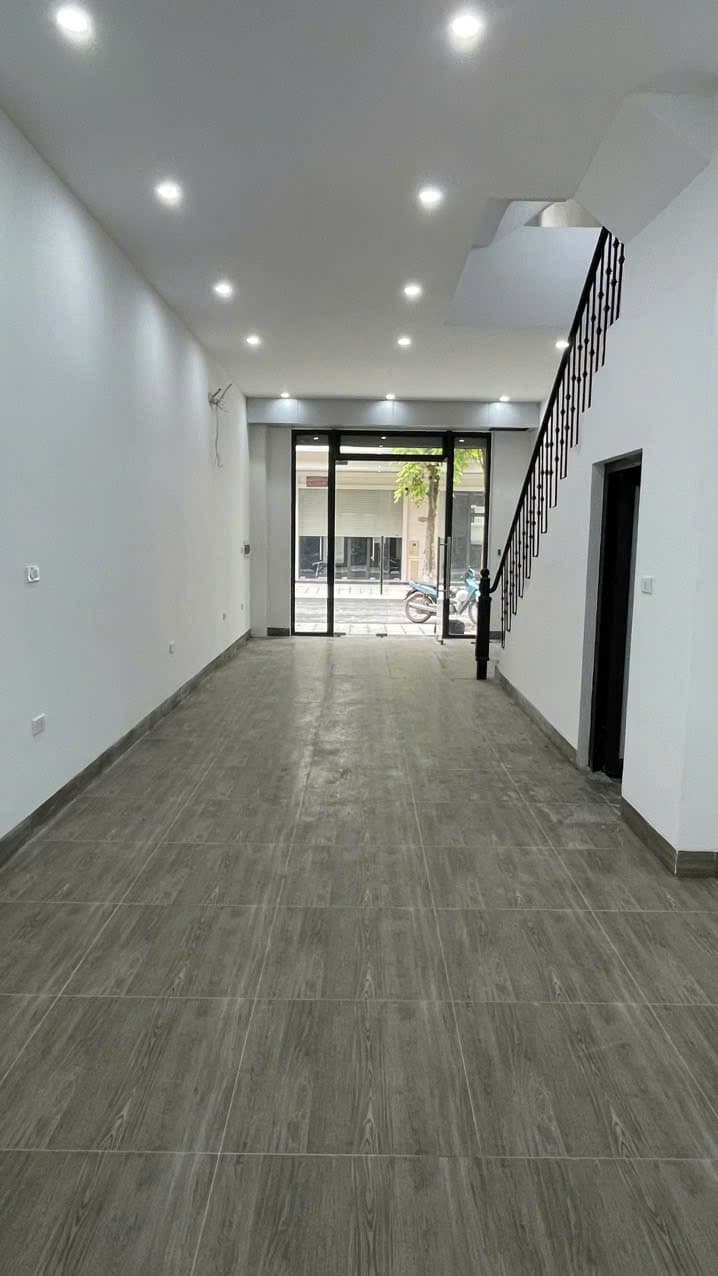 gallery image background