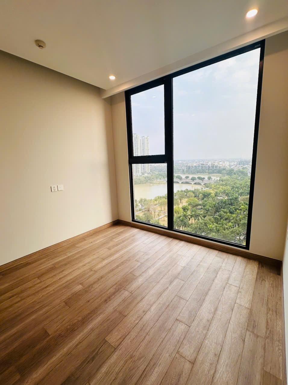 gallery image background