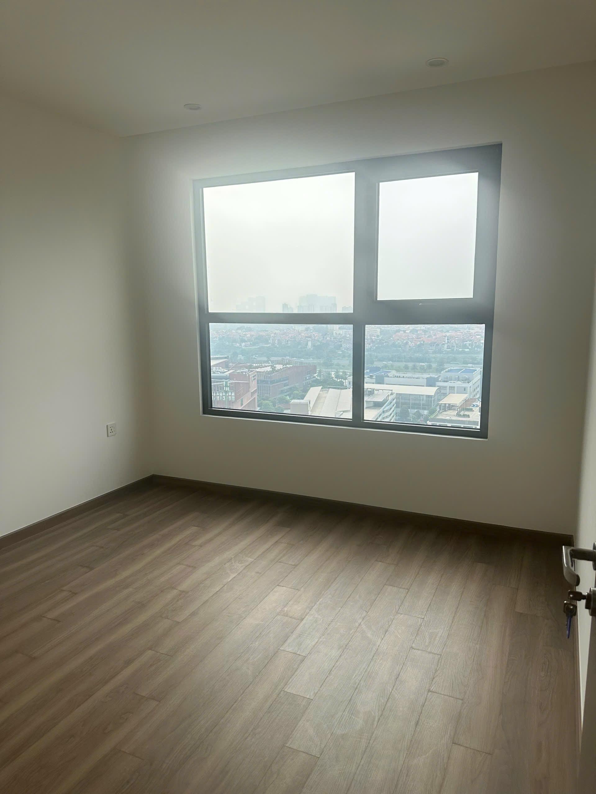 gallery image background