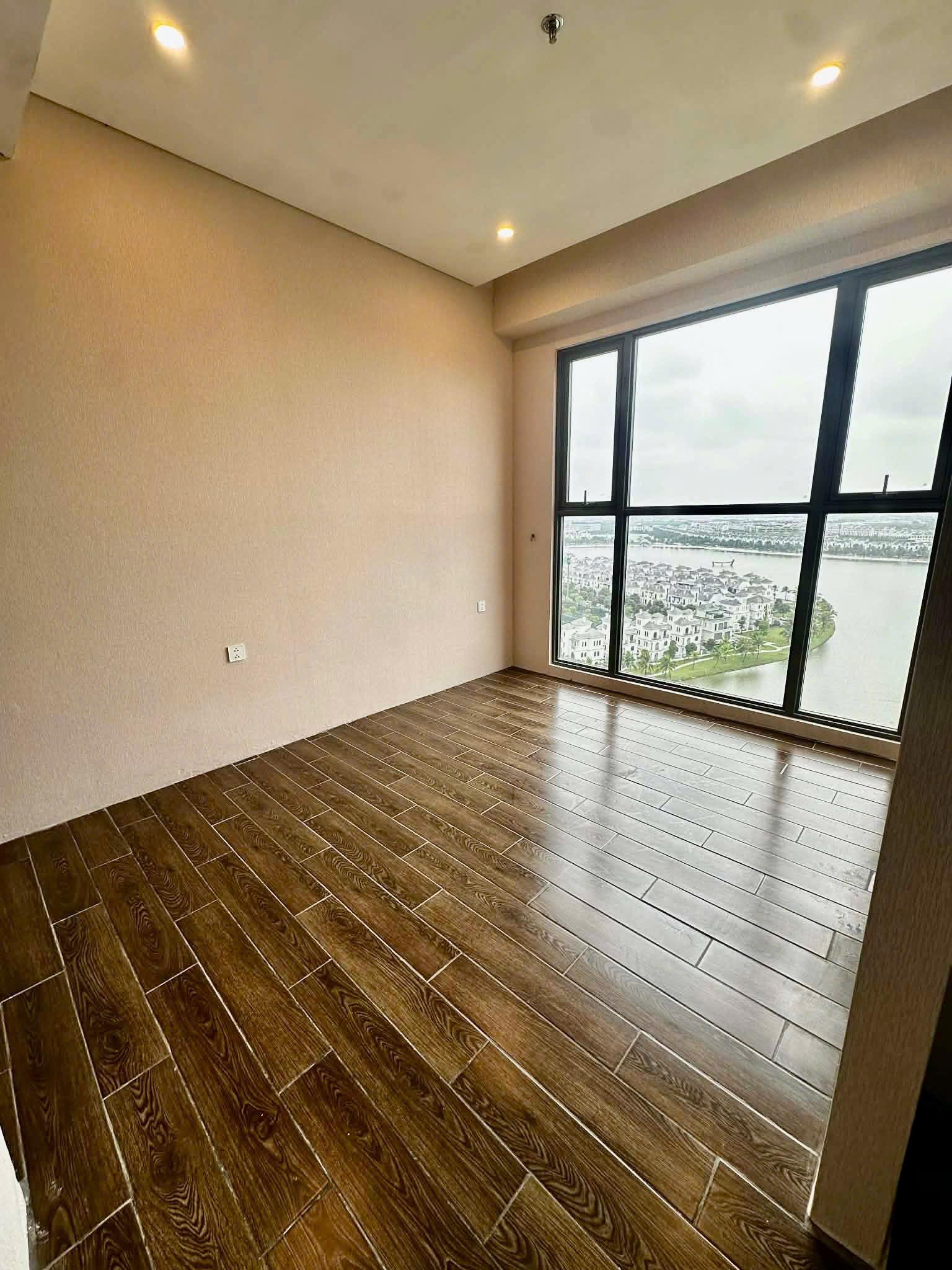 gallery image background