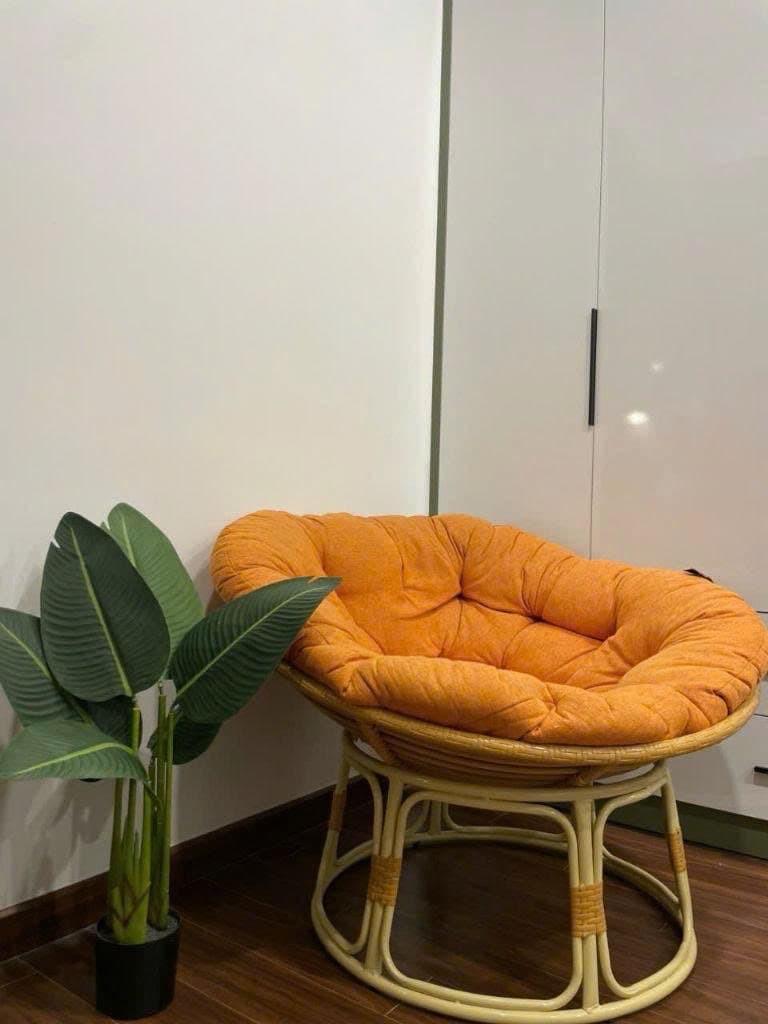 gallery image background