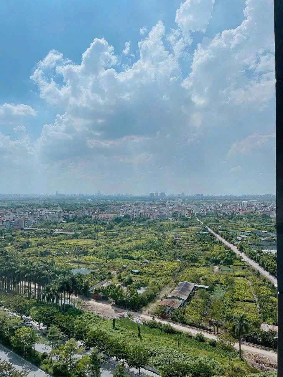 gallery image background