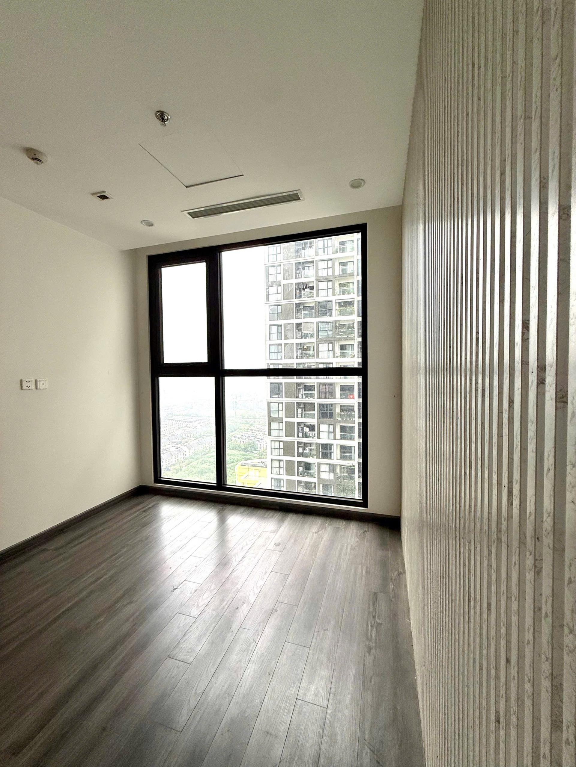 gallery image background