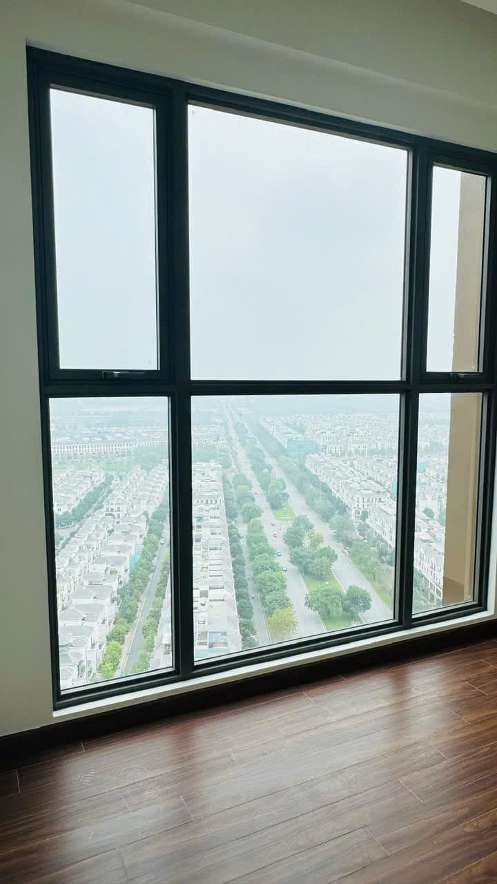 gallery image background