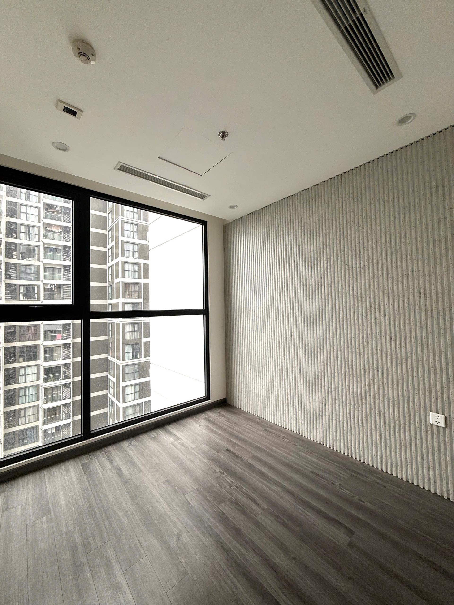 gallery image background