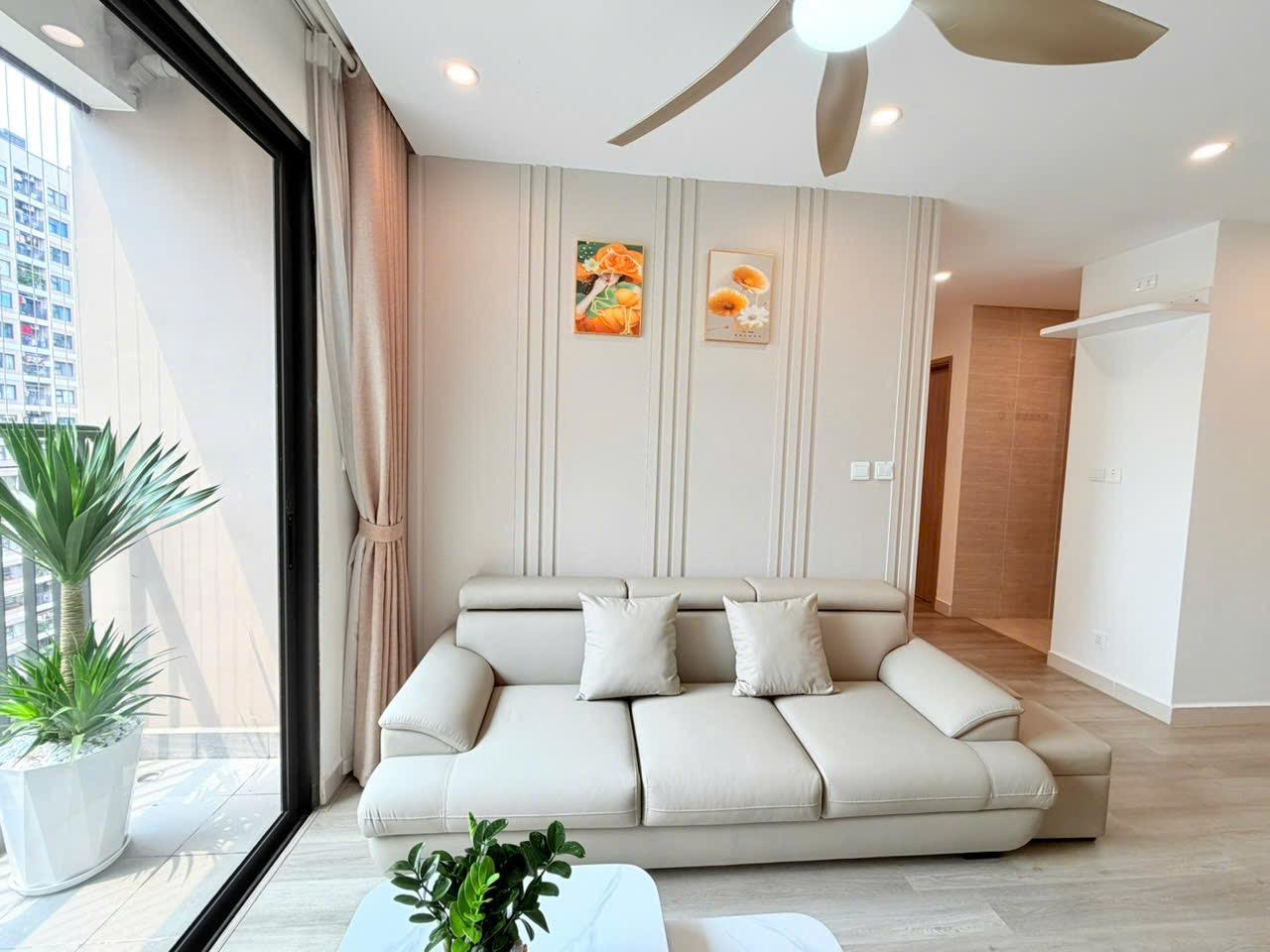 gallery image background