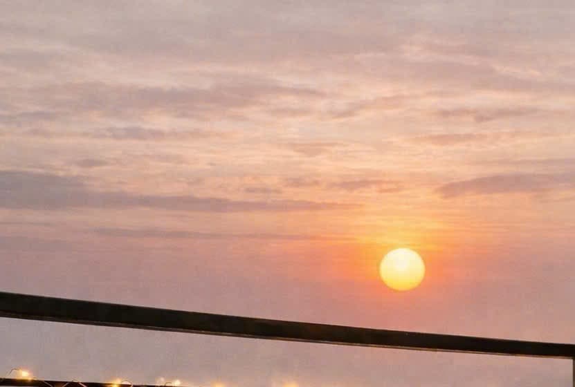 gallery image background