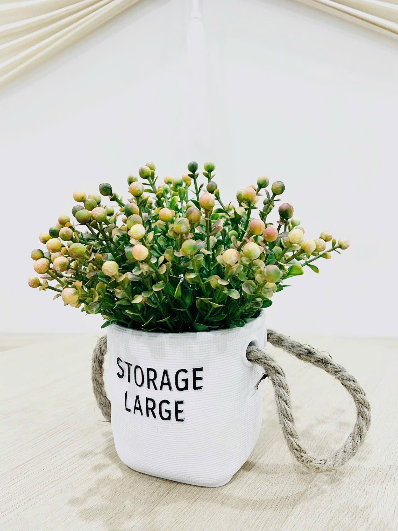 gallery image background