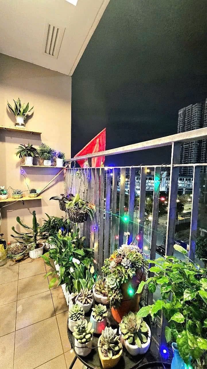 gallery image background