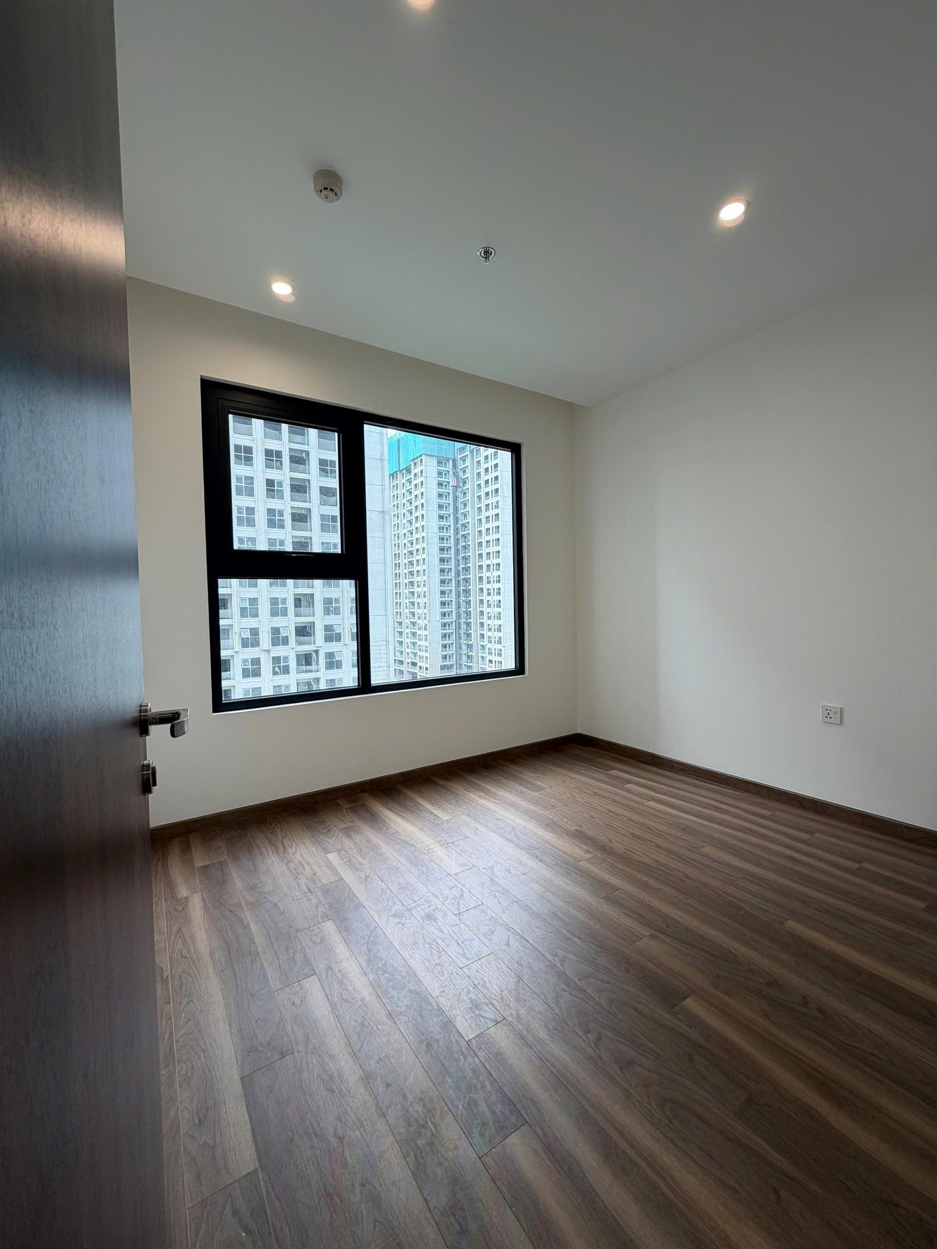 gallery image background