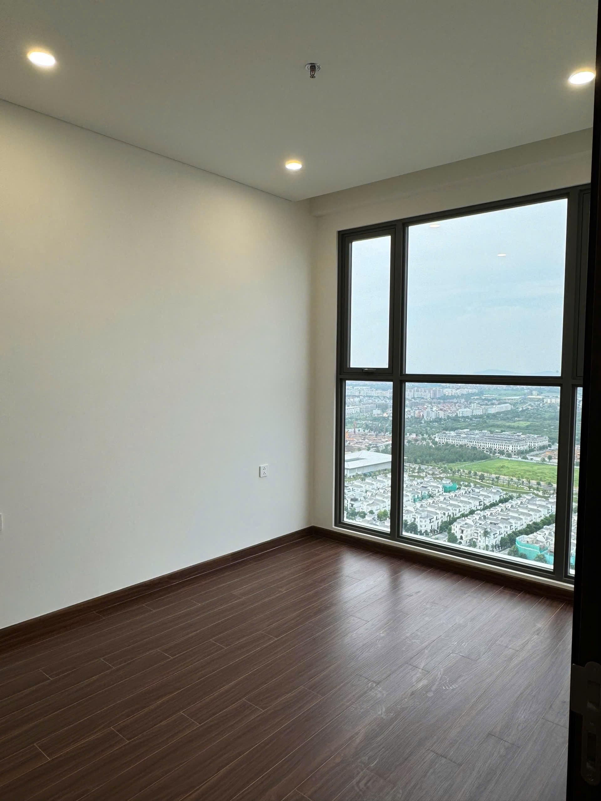 gallery image background