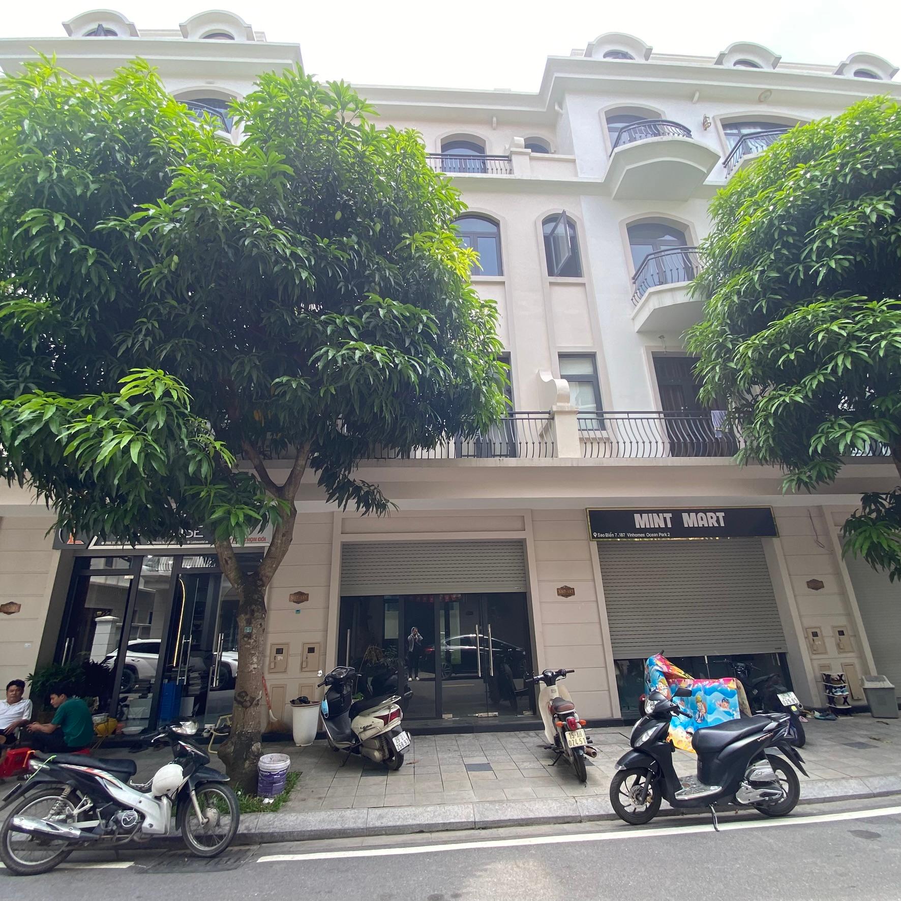 gallery image background