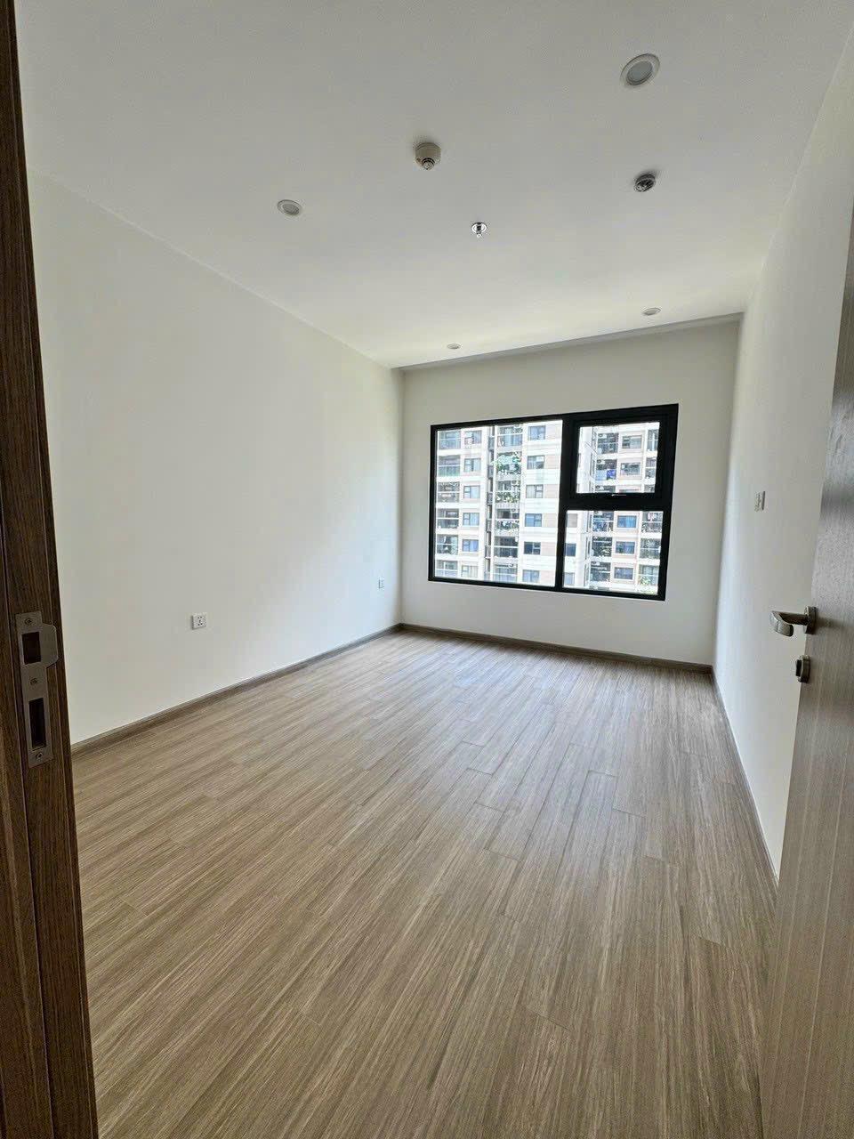 gallery image background