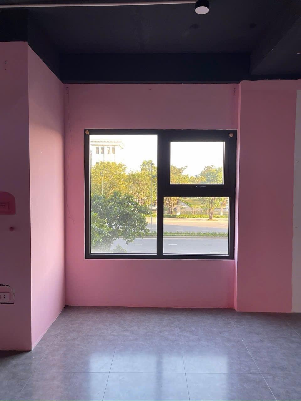 gallery image background