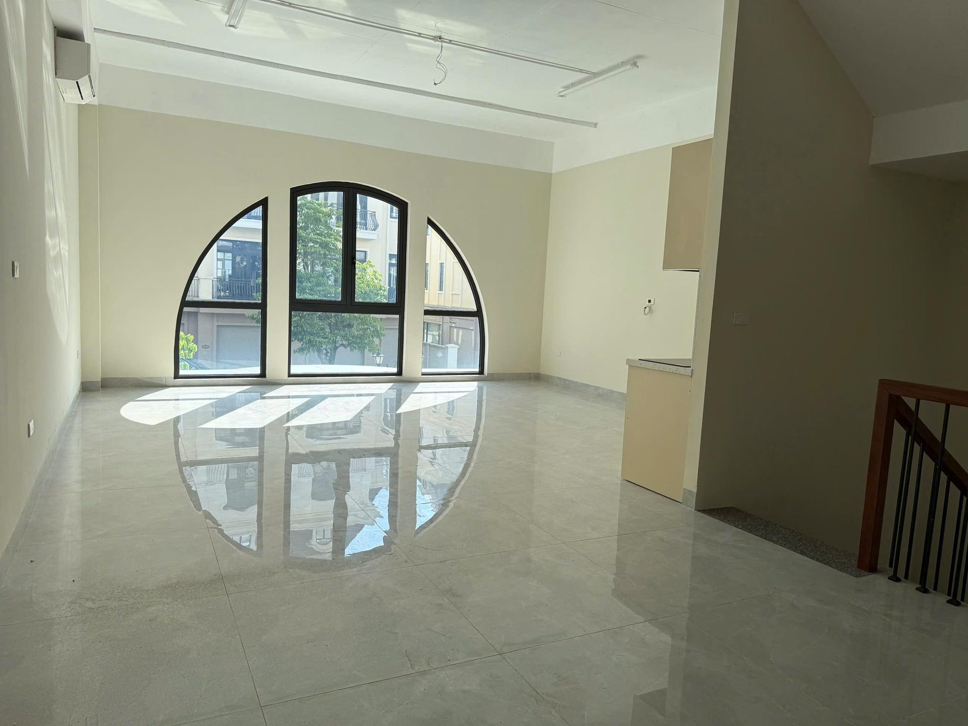 gallery image background