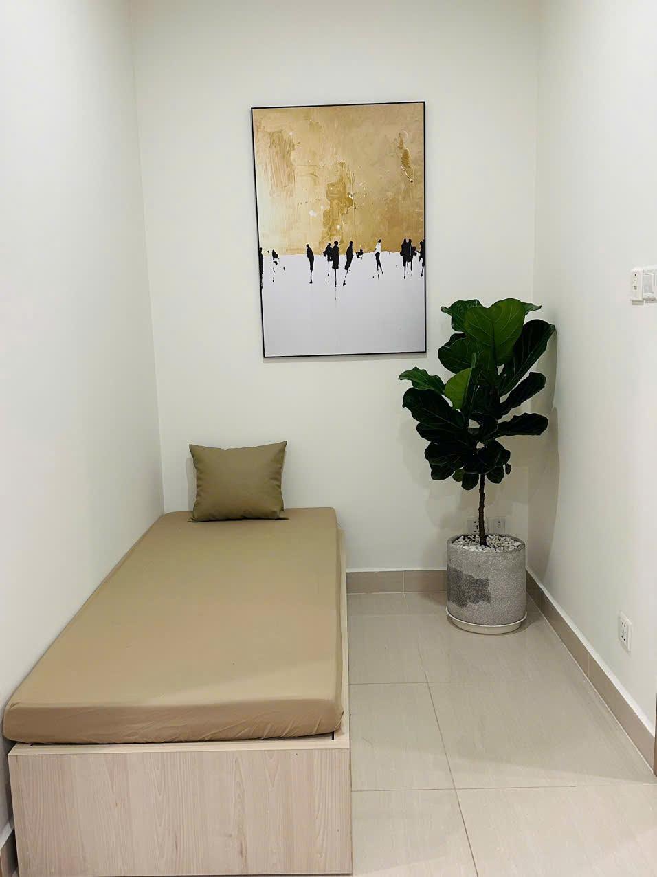 gallery image background