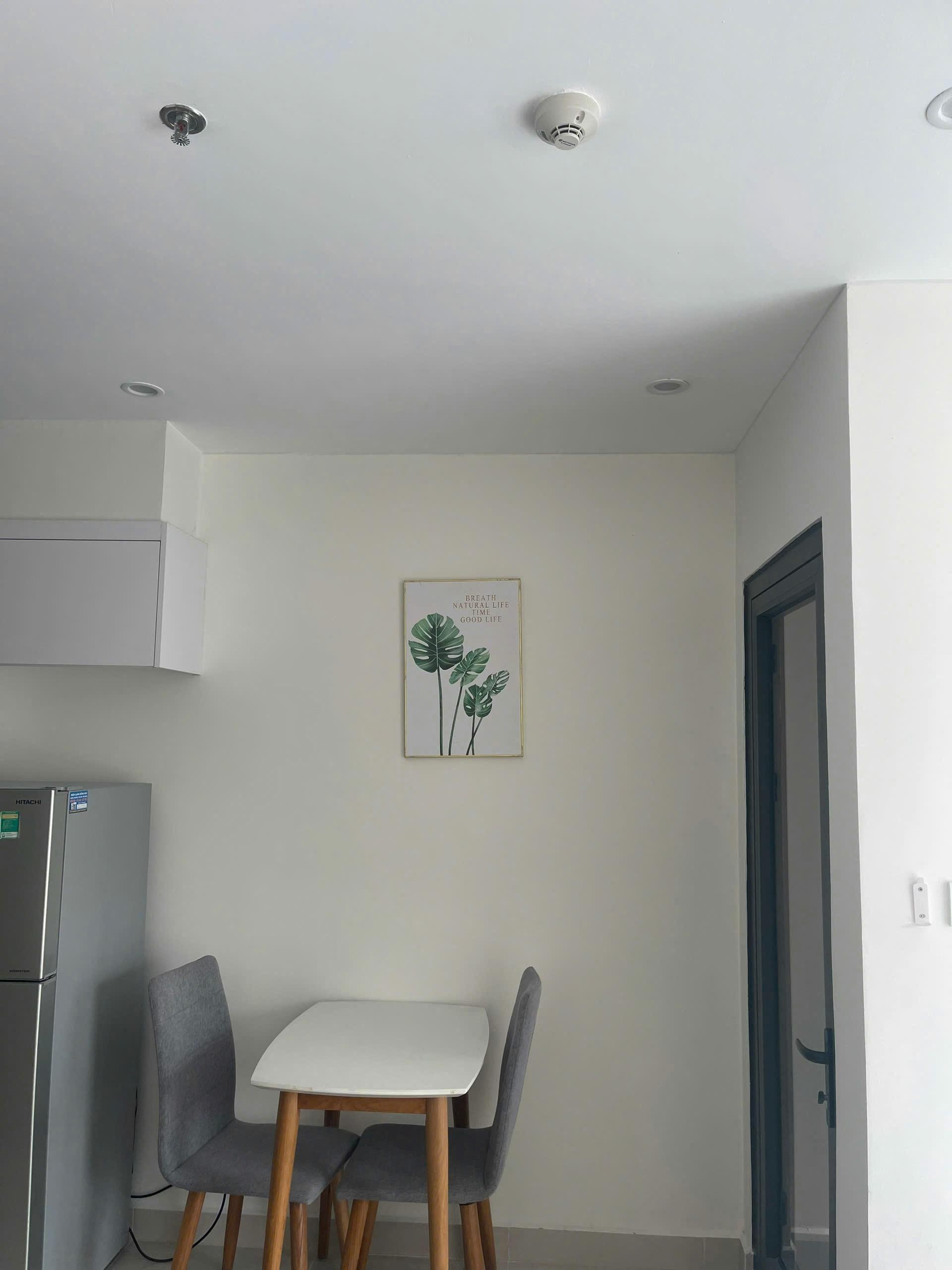 gallery image background