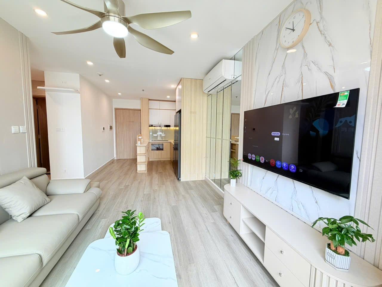 gallery image background